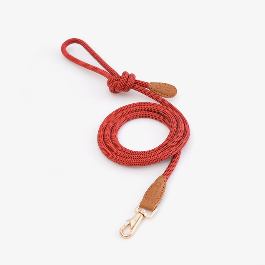 Leather Climbing Rope Dog Collar Leash