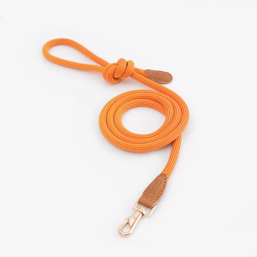 Leather Climbing Rope Dog Collar Leash